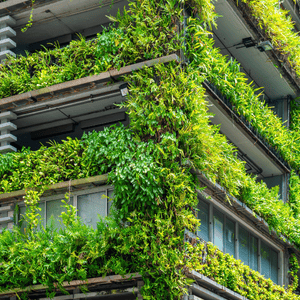 immeuble végétalisé