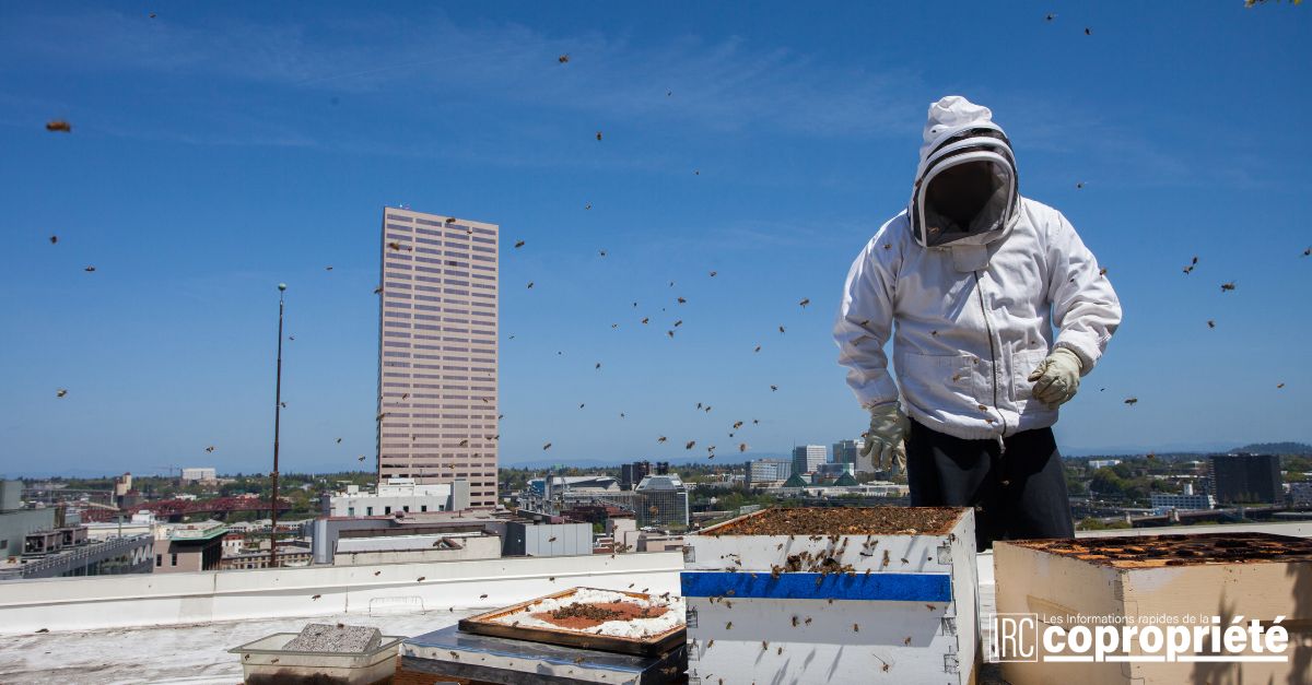 ©adobestock1824520266